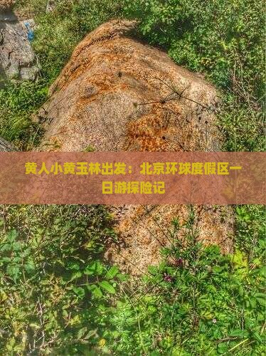 黄人小黄玉林出发：北京环球度假区一日游探险记