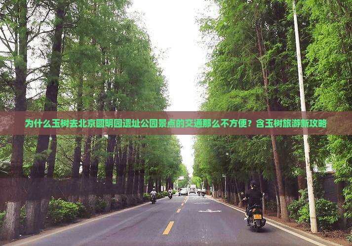 为什么玉树去北京圆明园遗址公园景点的交通那么不方便？含玉树旅游新攻略