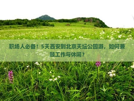 职场人必备！5天西安到北京天坛公园游，如何兼顾工作与休闲？