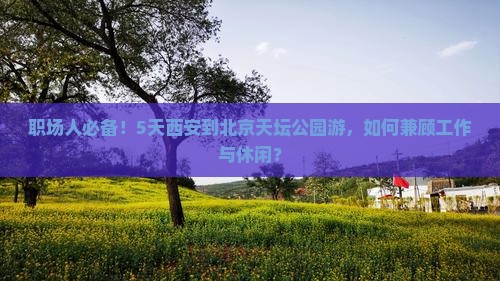 职场人必备！5天西安到北京天坛公园游，如何兼顾工作与休闲？