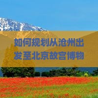 如何规划从沧州出发至北京故宫博物院的自由行旅游团？