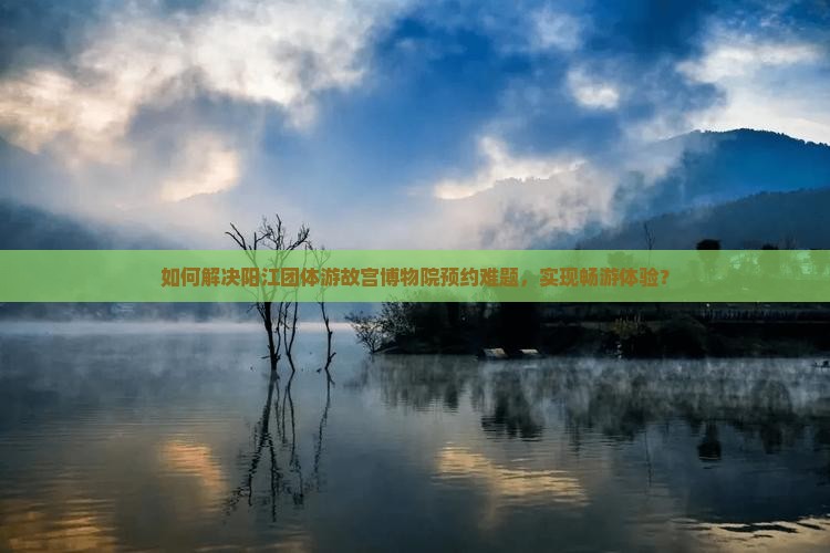 如何解决阳江团体游故宫博物院预约难题，实现畅游体验？