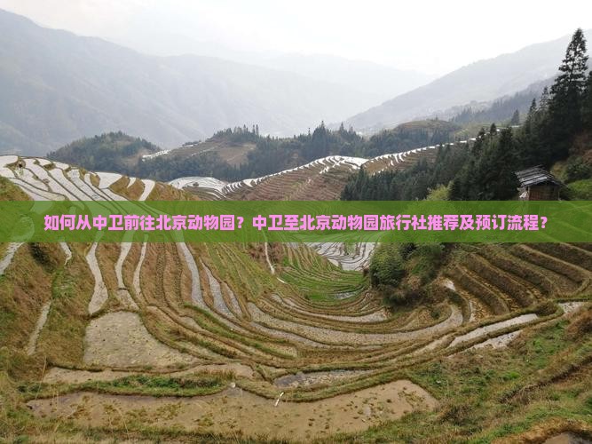 如何从中卫前往北京动物园？中卫至北京动物园旅行社推荐及预订流程？