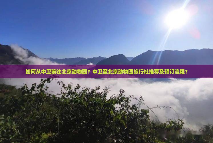 如何从中卫前往北京动物园？中卫至北京动物园旅行社推荐及预订流程？