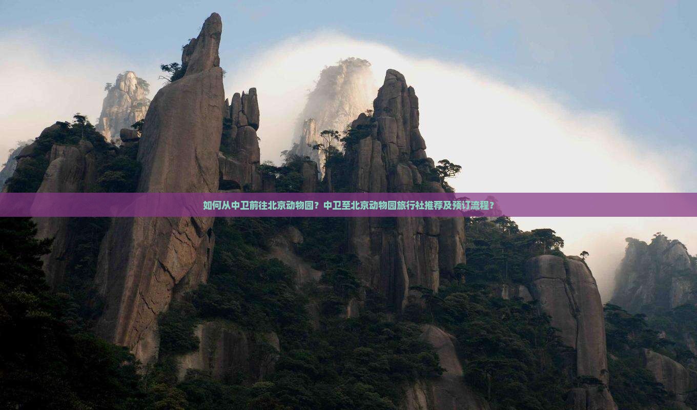 如何从中卫前往北京动物园？中卫至北京动物园旅行社推荐及预订流程？