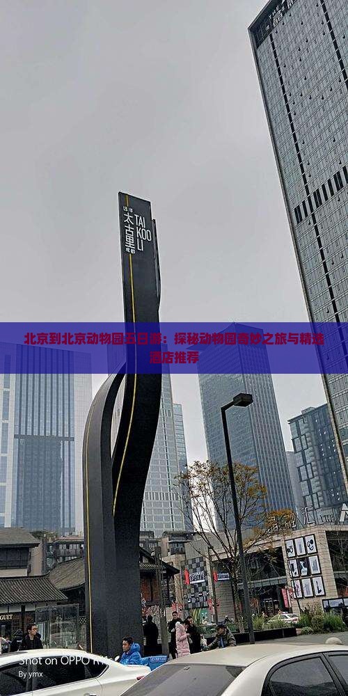 北京到北京动物园五日游：探秘动物园奇妙之旅与精选酒店推荐