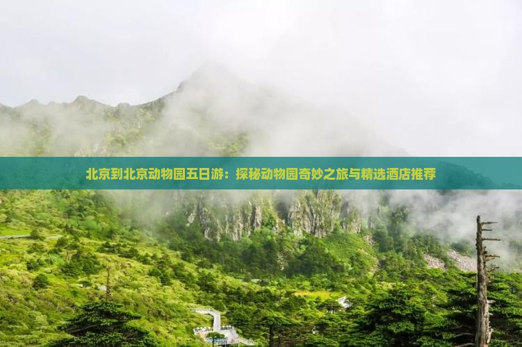 北京到北京动物园五日游：探秘动物园奇妙之旅与精选酒店推荐