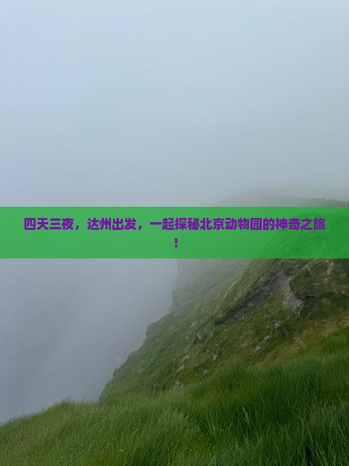 四天三夜，达州出发，一起探秘北京动物园的神奇之旅！
