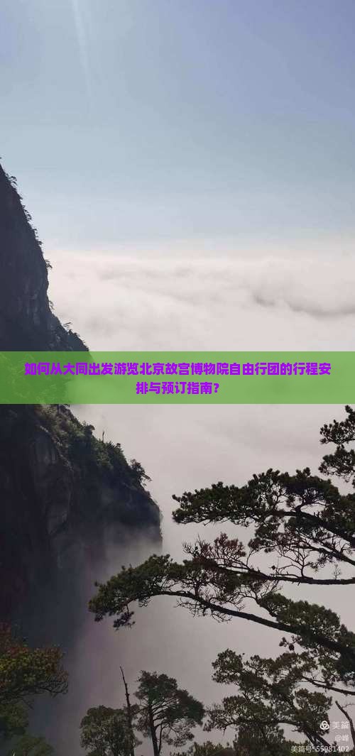 如何从大同出发游览北京故宫博物院自由行团的行程安排与预订指南？