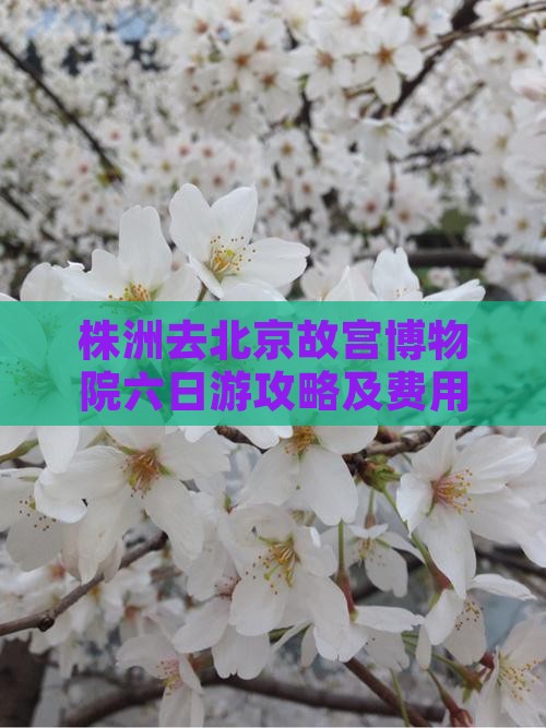 株洲去北京故宫博物院六日游攻略及费用指南