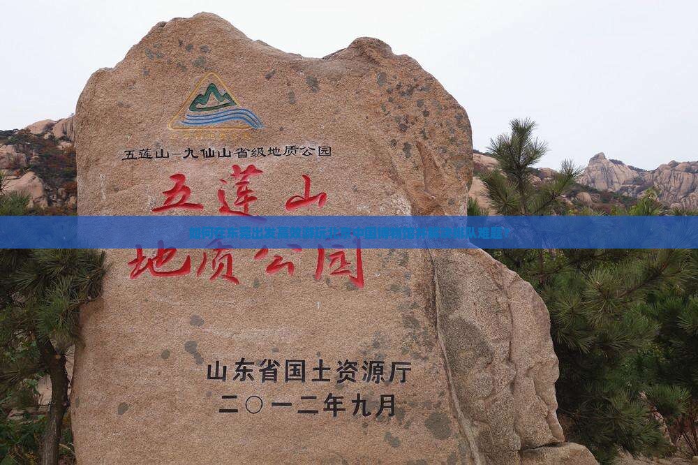 如何在东莞出发高效游玩北京中国博物馆并解决排队难题？