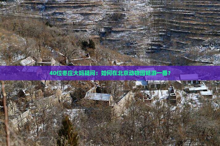 40位枣庄大妈疑问：如何在北京动物园畅游一番？