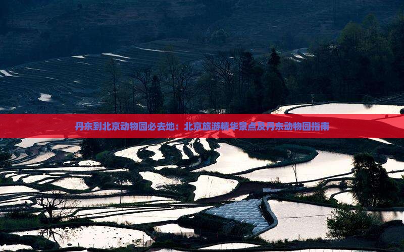 丹东到北京动物园必去地：北京旅游精华景点及丹东动物园指南