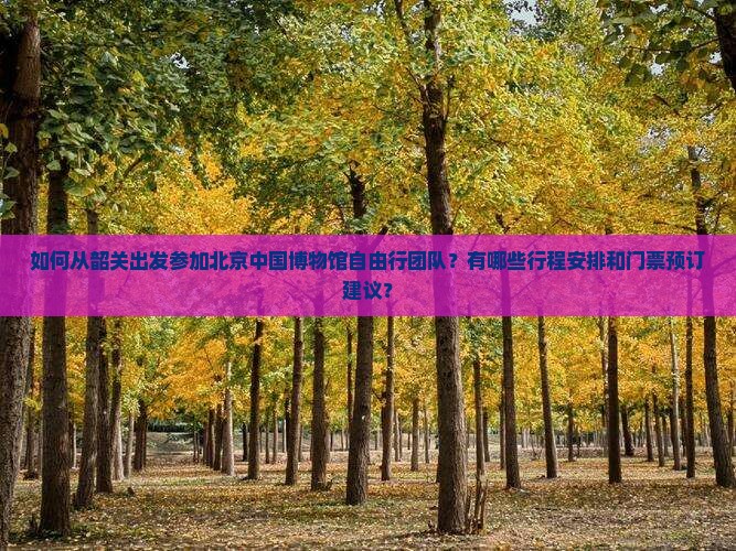 如何从韶关出发参加北京中国博物馆自由行团队？有哪些行程安排和门票预订建议？