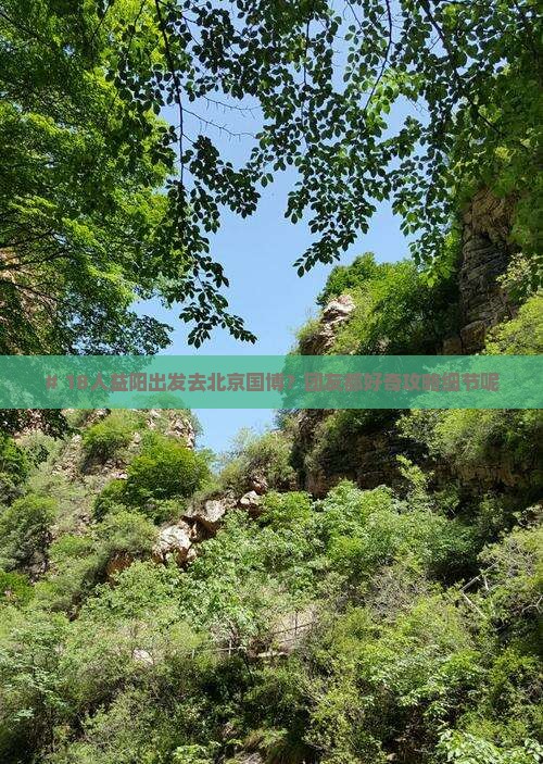 # 18人益阳出发去北京国博？团友都好奇攻略细节呢