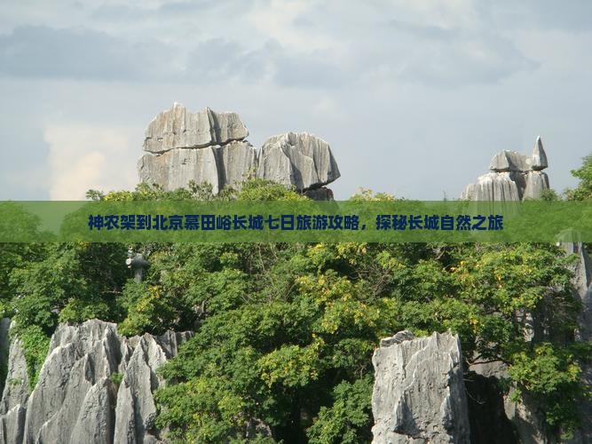 神农架到北京慕田峪长城七日旅游攻略，探秘长城自然之旅