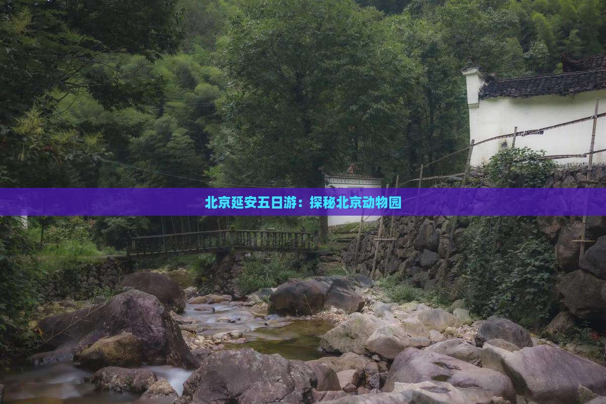 北京延安五日游：探秘北京动物园