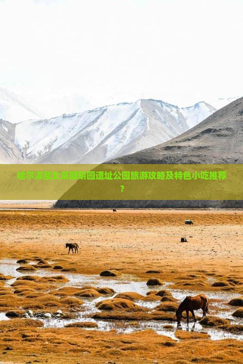 哈尔滨至北京圆明园遗址公园旅游攻略及特色小吃推荐？