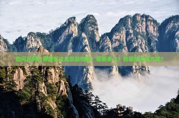 如何从阿拉善盟前往北京动物园？需要多久？有哪些交通方式？