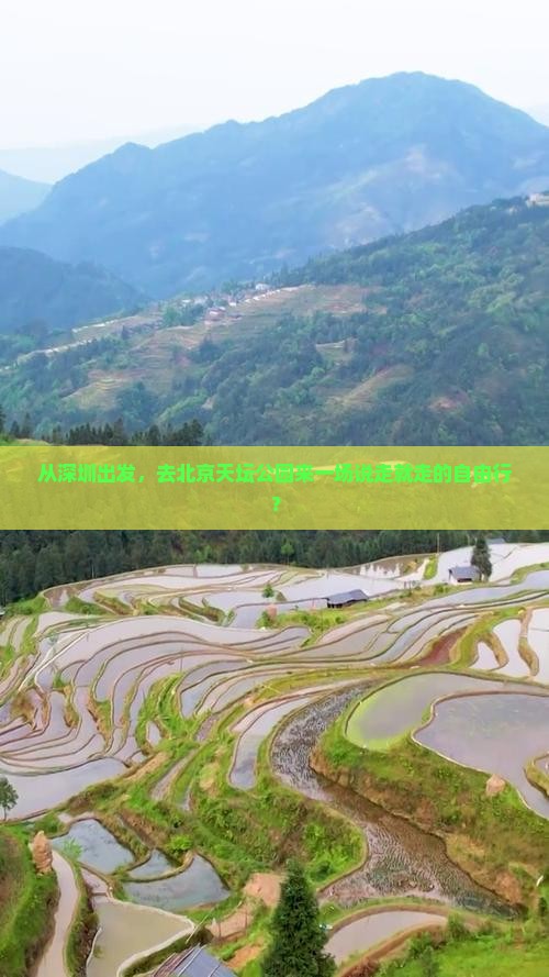 从深圳出发，去北京天坛公园来一场说走就走的自由行？