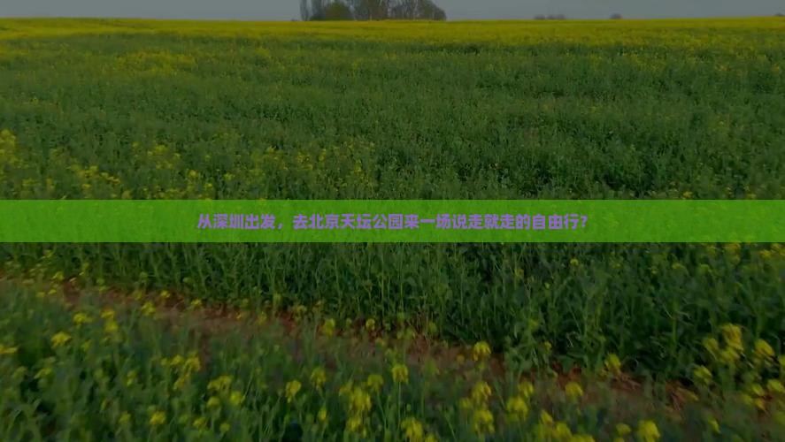 从深圳出发，去北京天坛公园来一场说走就走的自由行？