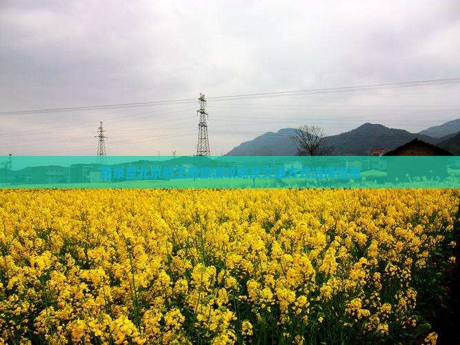阳泉至北京恭王府旅游攻略及交通方式选择指南
