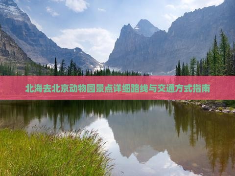 北海去北京动物园景点详细路线与交通方式指南 北海去北京动物园景点详细路线与交通方式指南