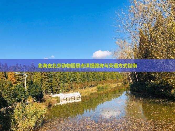 北海去北京动物园景点详细路线与交通方式指南 北海去北京动物园景点详细路线与交通方式指南
