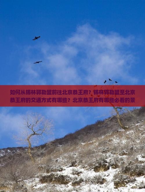 如何从锡林郭勒盟前往北京恭王府？锡林郭勒盟至北京恭王府的交通方式有哪些？北京恭王府有哪些必看的景点与特色？
