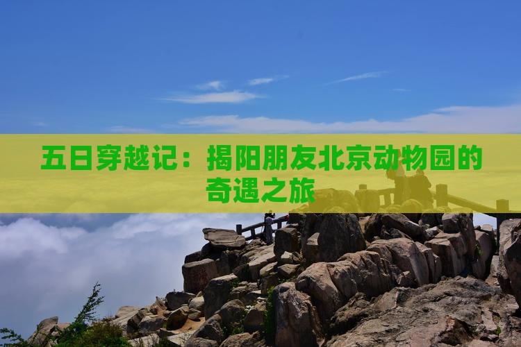 五日穿越记:揭阳朋友北京动物园的奇遇之旅 五日穿越记:揭阳朋友北京动物园的奇遇之旅