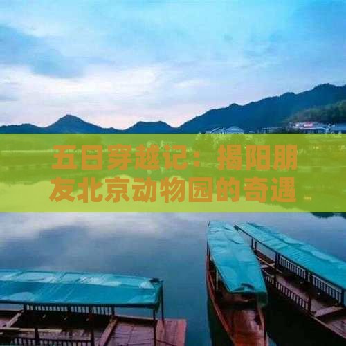 五日穿越记:揭阳朋友北京动物园的奇遇之旅 五日穿越记:揭阳朋友北京动物园的奇遇之旅