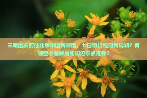 三明出发前往北京中国博物馆，七日游行程如何规划？有哪些必看展品和周边景点推荐？