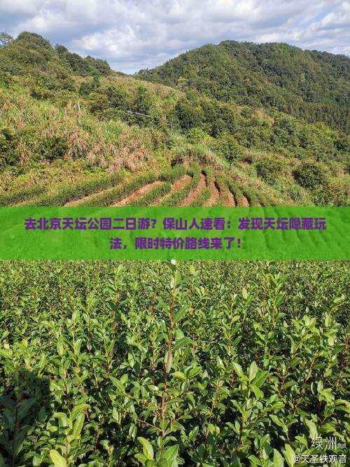 去北京天坛公园二日游？保山人速看：发现天坛隐藏玩法，限时特价路线来了！