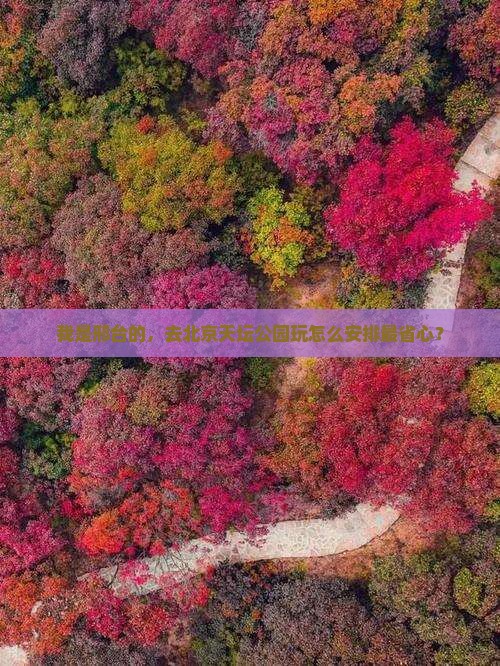 我是邢台的，去北京天坛公园玩怎么安排最省心？