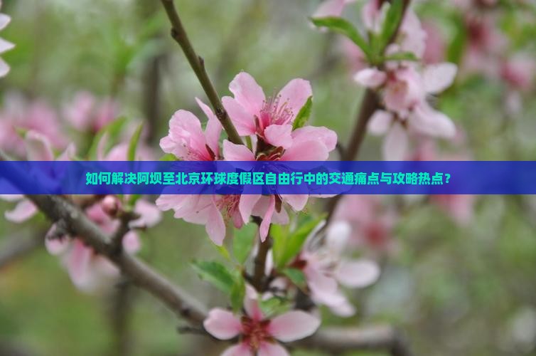 如何解决阿坝至北京环球度假区自由行中的交通痛点与攻略热点？