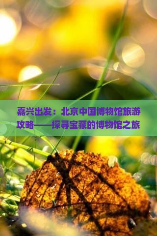 嘉兴出发：北京中国博物馆旅游攻略——探寻宝藏的博物馆之旅