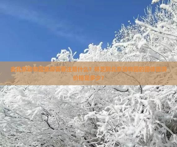 去北京动物园旅游需要注意什么？林芝到北京动物园的团体旅游价格是多少？