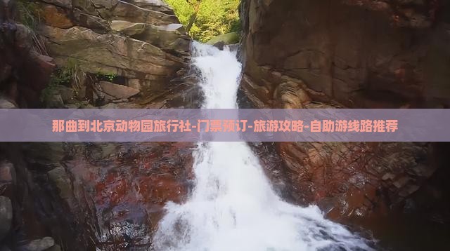 那曲到北京动物园旅行社-门票预订-旅游攻略-自助游线路推荐