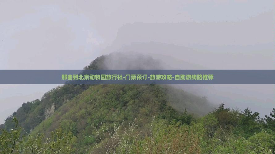 那曲到北京动物园旅行社-门票预订-旅游攻略-自助游线路推荐