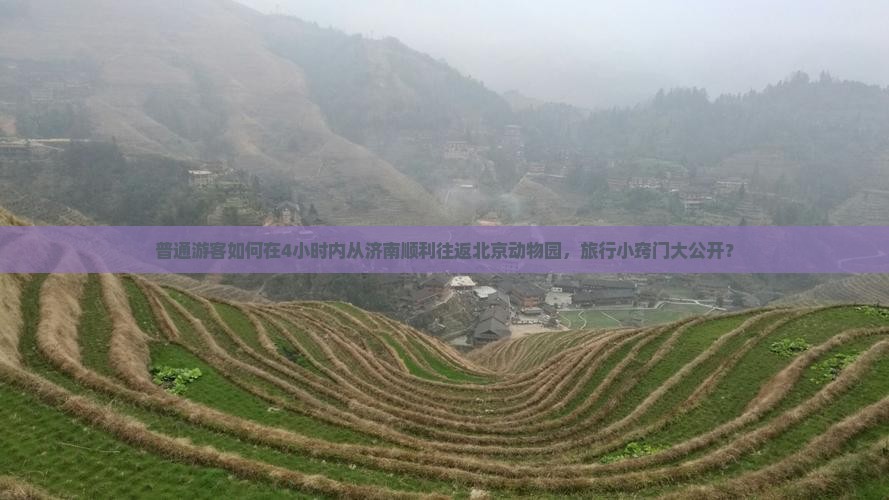 普通游客如何在4小时内从济南顺利往返北京动物园，旅行小窍门大公开？
