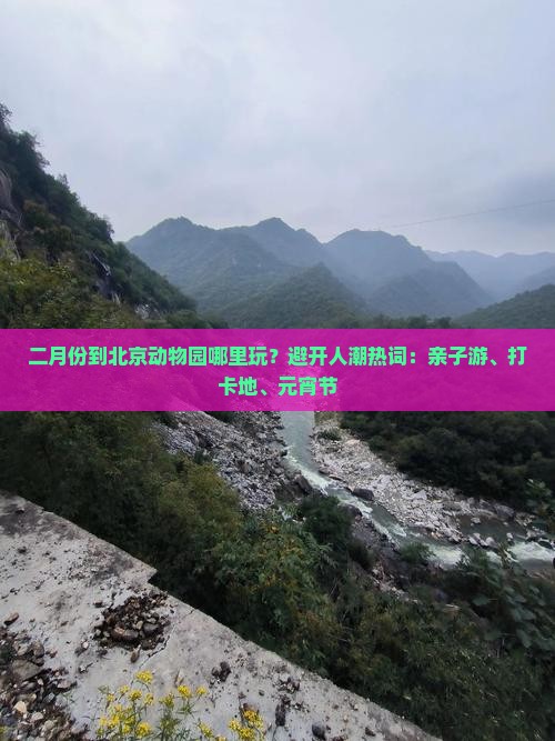 二月份到北京动物园哪里玩？避开人潮热词：亲子游、打卡地、元宵节