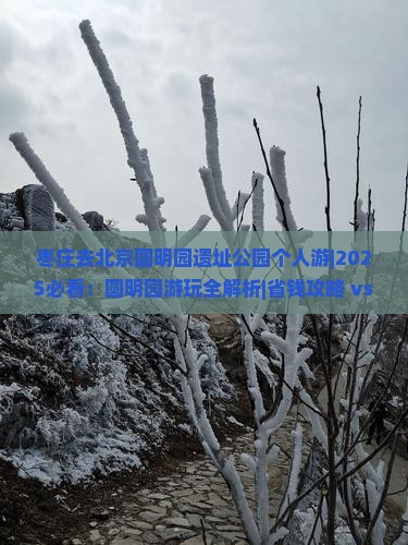 枣庄去北京圆明园遗址公园个人游