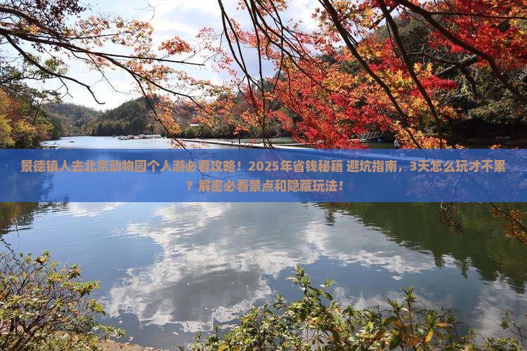 景德镇到北京动物园个人游