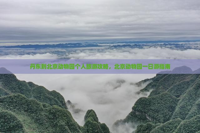 丹东去北京动物园个人游