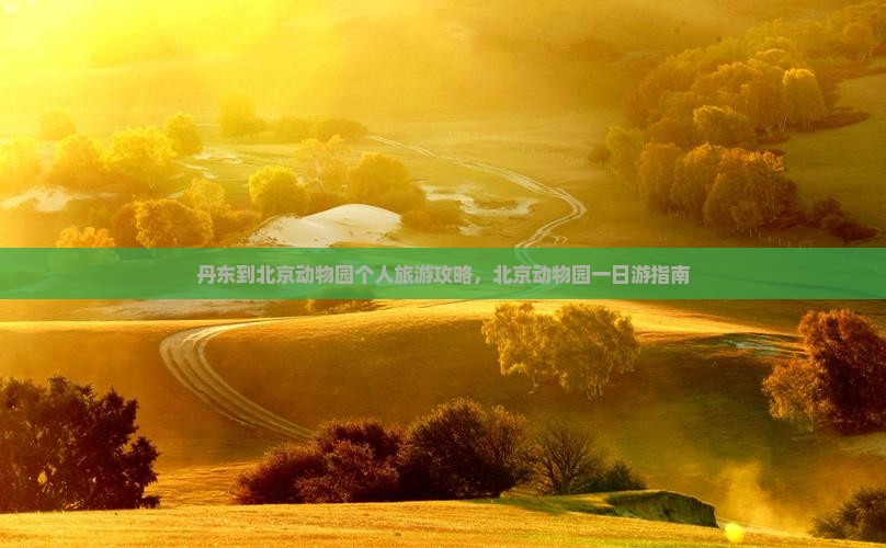 丹东去北京动物园个人游