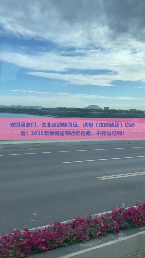 安阳去北京动物园团体旅游
