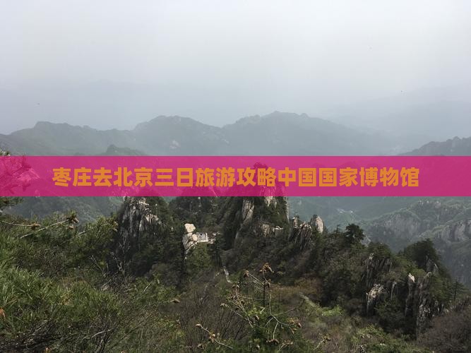 枣庄去北京中国国家博物馆三日游