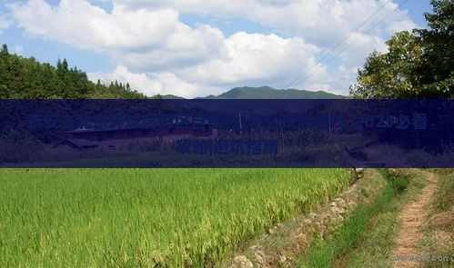 泰安去北京环球度假区自由行
