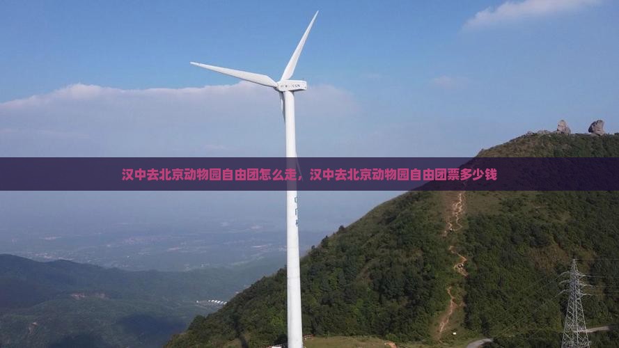 汉中去北京动物园自由团