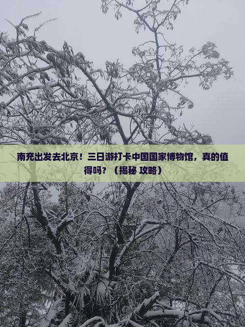 南充到北京中国国家博物馆三日游